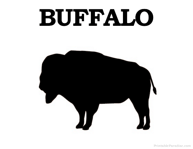 Printable Buffalo Silhouette
