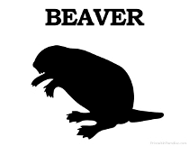 Beaver Silhouette