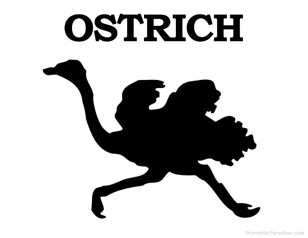 Printable Ostrich Silhouette