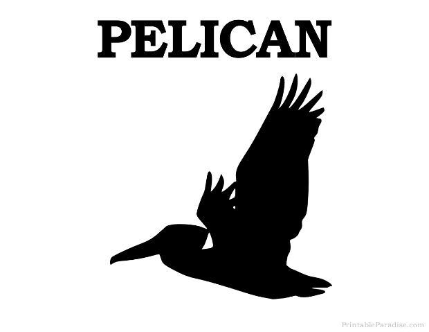 Printable Pelican Silhouette
