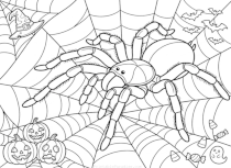 Halloween Spider Coloring Sheet