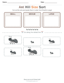 Ant Size Sorting Worksheets