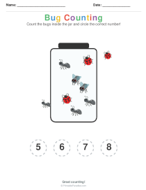 Bug Counting Worksheets