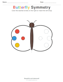 Butterfly Symmetry Worksheets