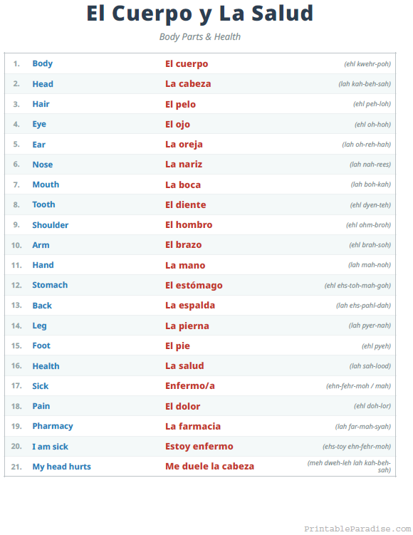 Printable English to Spanish Body and Health Terms