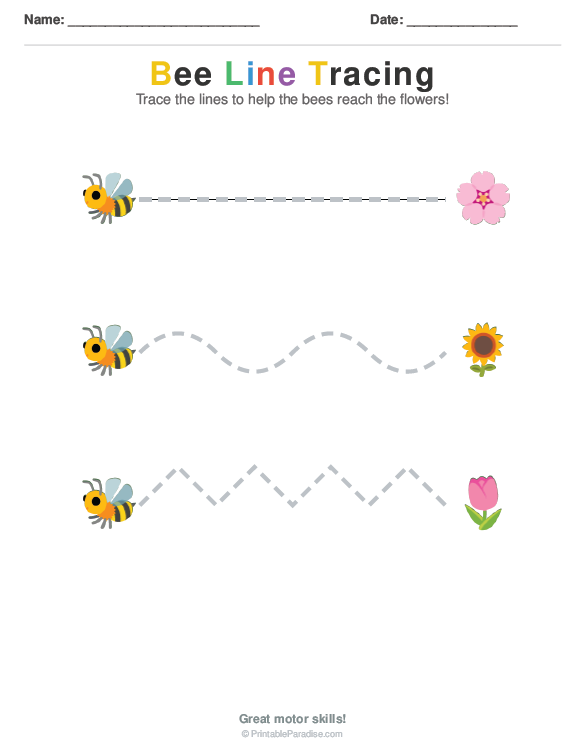 Printable Preschool Insect Tracing Worksheet